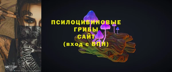 MDMA Новозыбков