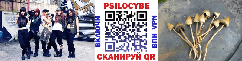 OMG зеркало  Сафоново  Галлюциногенные грибы GOLDEN TEACHER 