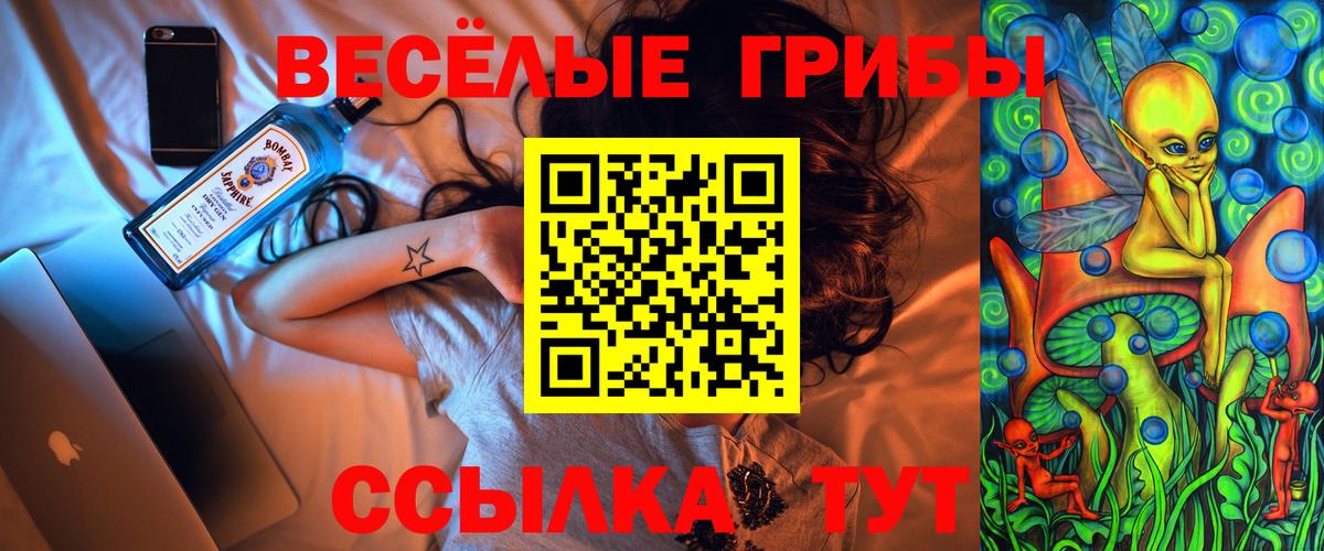 Псилоцибиновые грибы MAGIC MUSHROOMS Сафоново