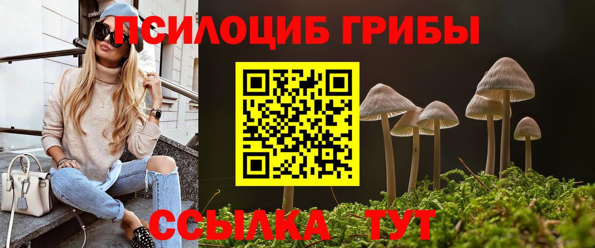 Псилоцибиновые грибы прущие грибы  Сафоново 