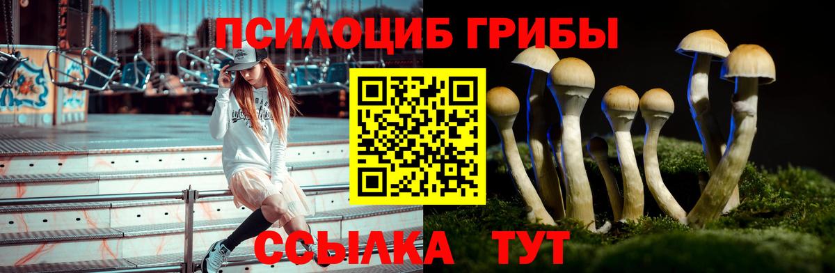 Сафоново  Псилоцибиновые грибы MAGIC MUSHROOMS  Вход с VPN  Псилоцибиновые грибы мухоморы 