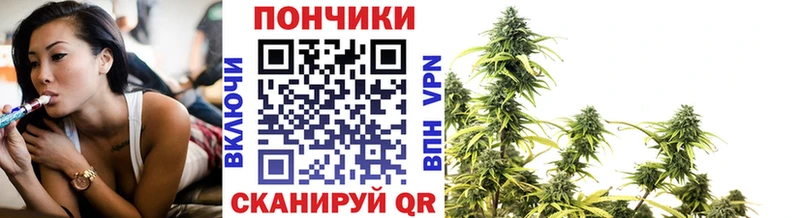 Бошки марихуана планчик Сафоново